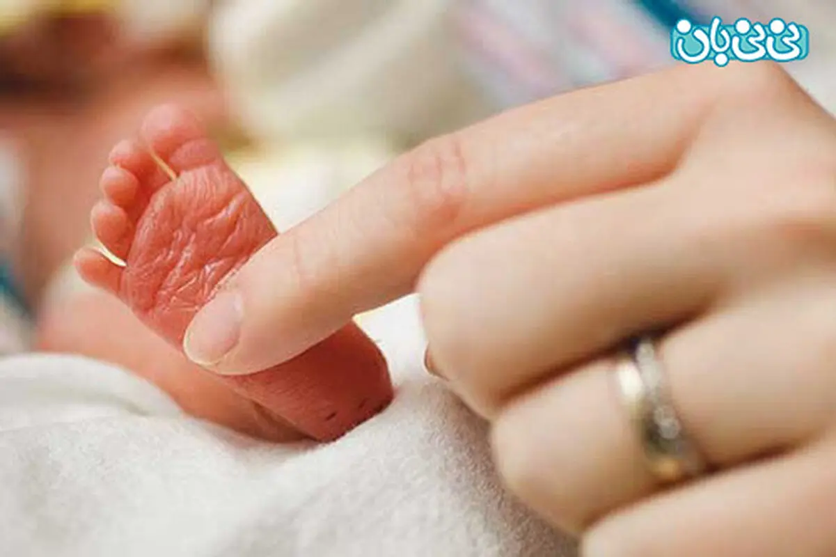 دلایل جفت ماندگی، سه علت اصلی