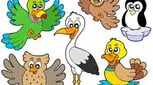 قصه صوتی کودکانه، کی از همه بزرگتره؟