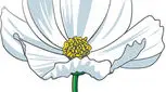 قصه صوتی کودکانه، باغ همسایه