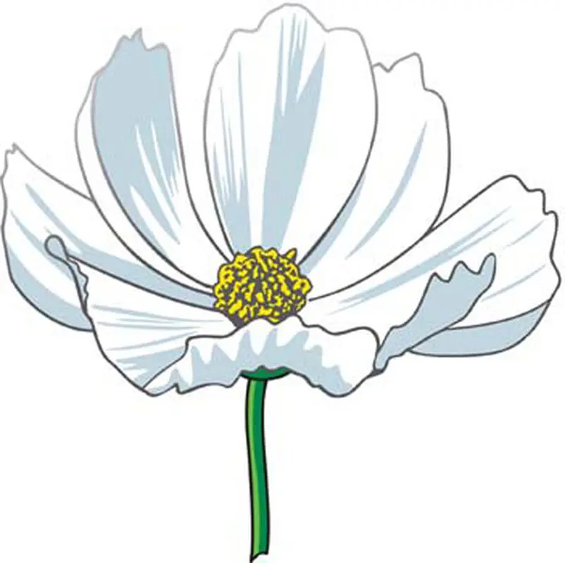 قصه صوتی کودکانه، باغ همسایه