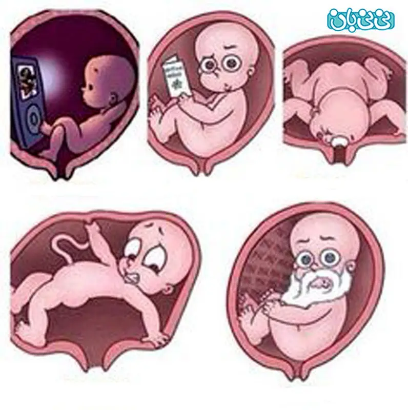 اولین حرکت جنین در چند ماهگی است؟