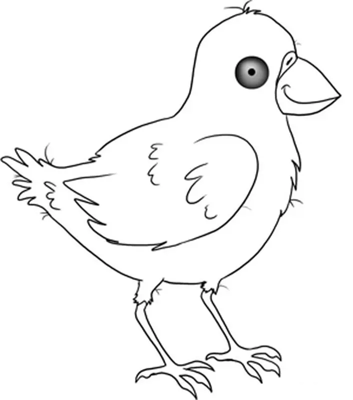 قصه صوتی کودکانه، کلاغ