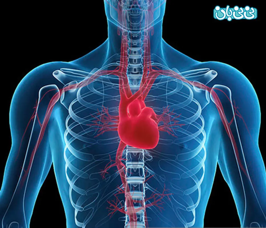 فواید رابطه ی زناشویی، بیشتر بدانید