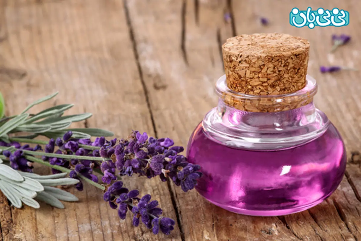 مصرف اسطوخودوس در بارداری