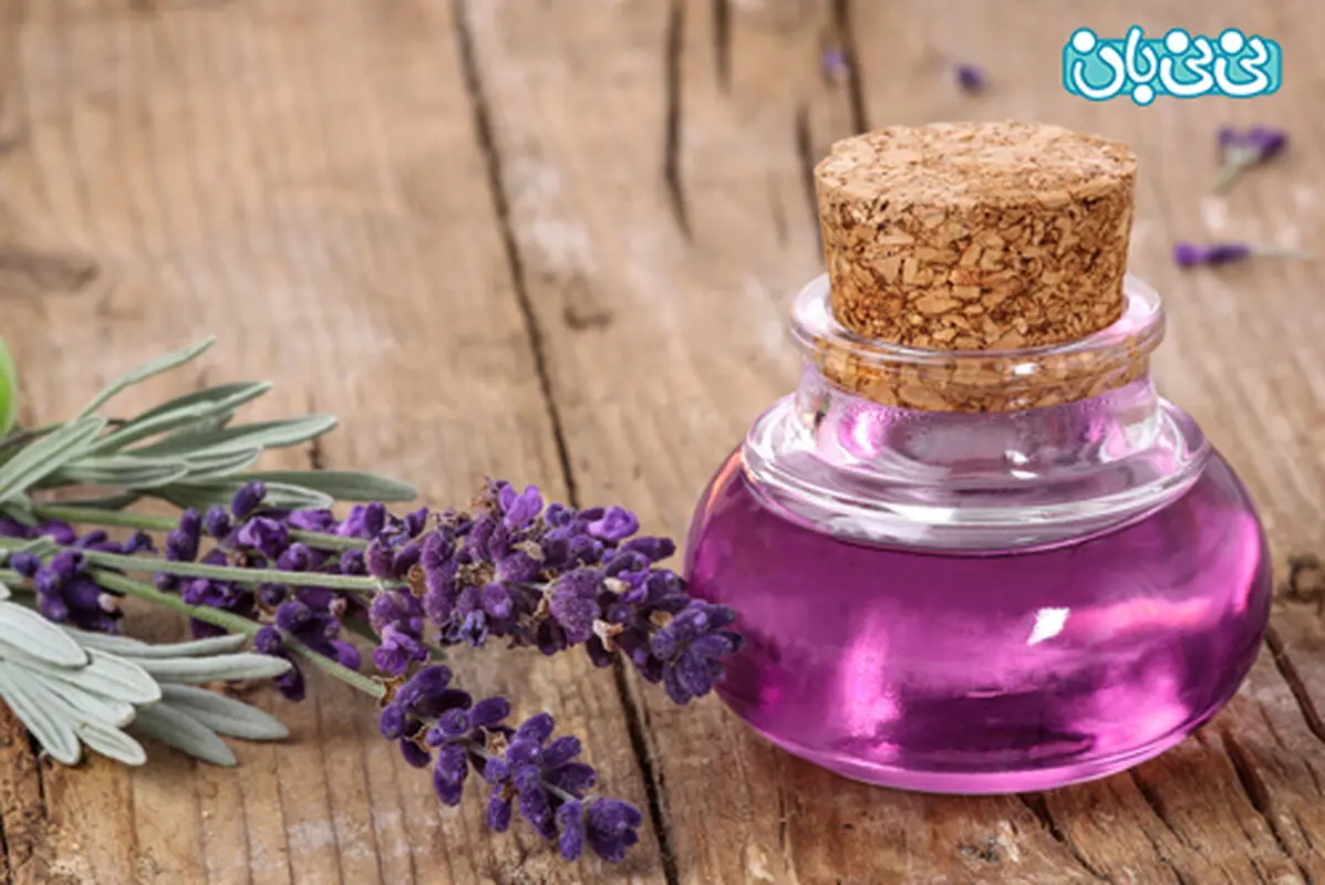 مصرف اسطوخودوس در بارداری