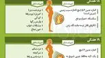 هفته به هفته بارداری، سه ماهه دوم (2)