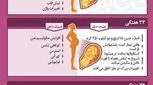 بارداری هفته به هفته، سه ماهه سوم