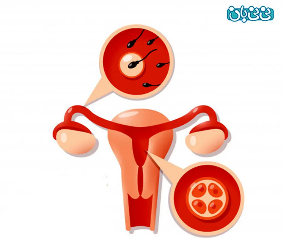 داروی ضدبارداری اورژانسی را چگونه مصرف کنیم؟