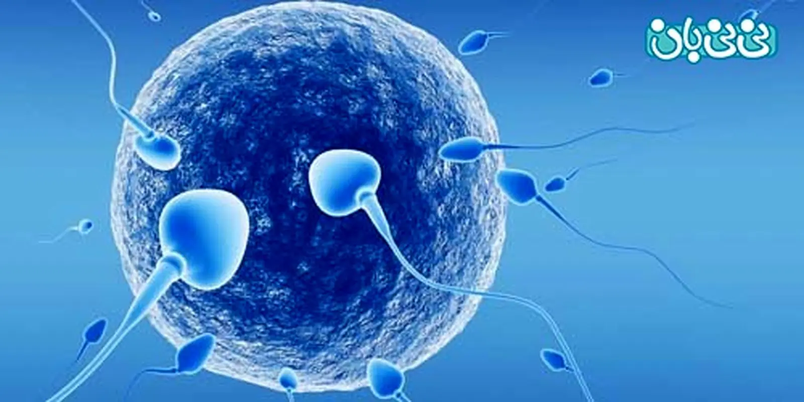 شانس موفقیت در iui، چگونه بالا ببریم؟