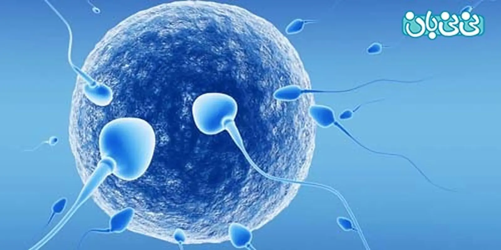 شانس موفقیت در iui، چگونه بالا ببریم؟