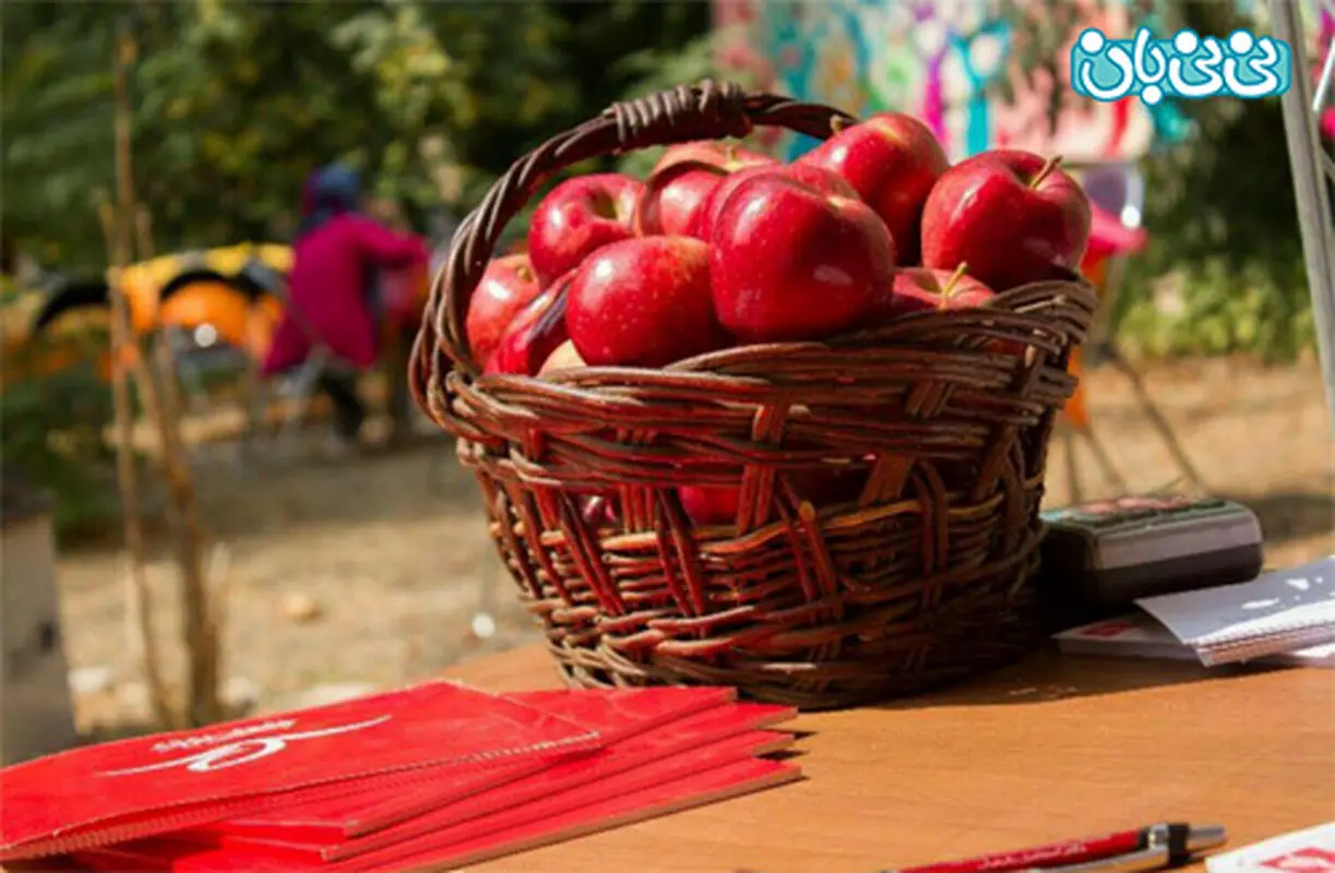 خیریه بچه های سیب سرخ، کمک‌ به کودکان بی‌سرپرست