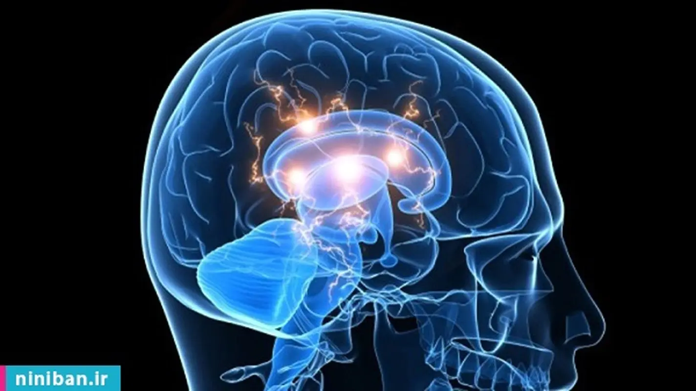 تاثیر فیلم مبتذل بر مغز، آقایان متوجه باشند!