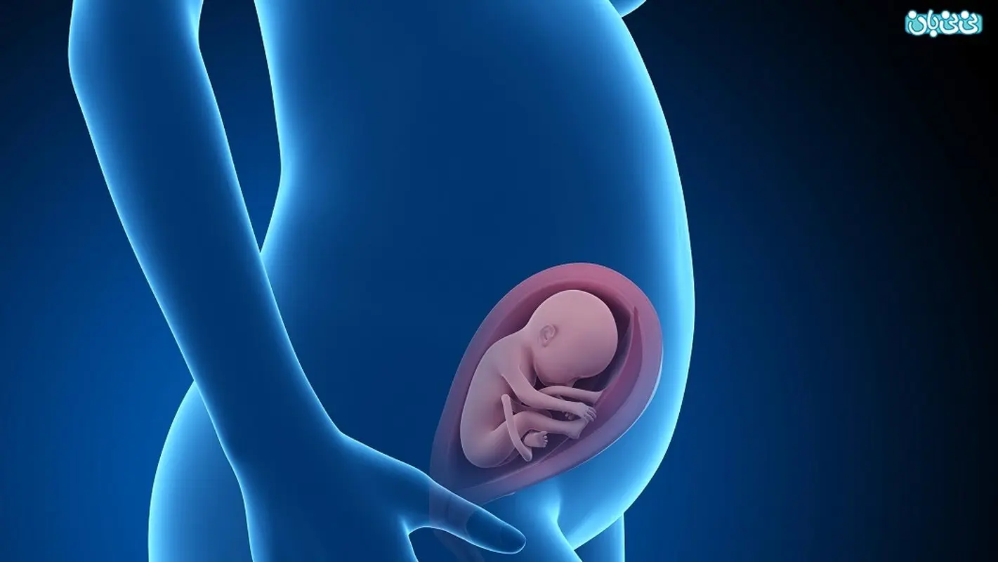 توقف رشد جنین، علت و عواقب آن