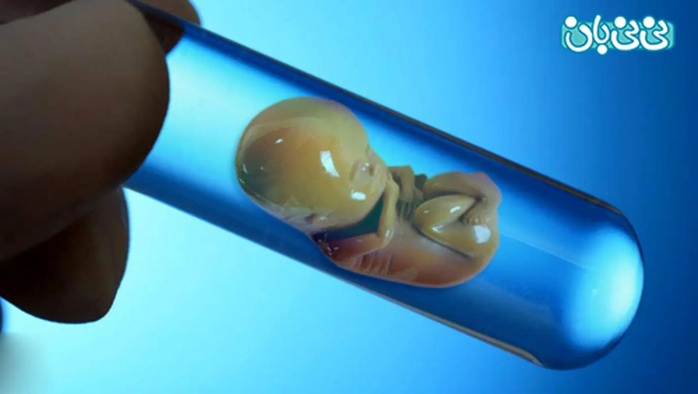 تاثیر استرس بر باروری و تخمک گذاری