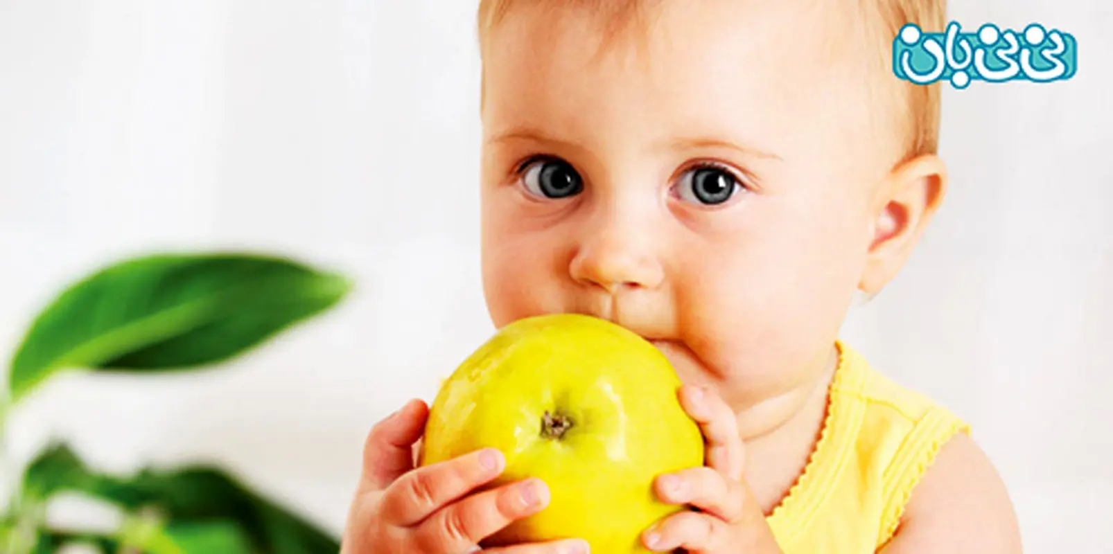 میوه خوردن نوزاد، از چند ماهگی؟