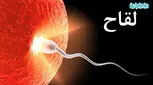 لقاح برای بارداری، از تخمک تا جنین