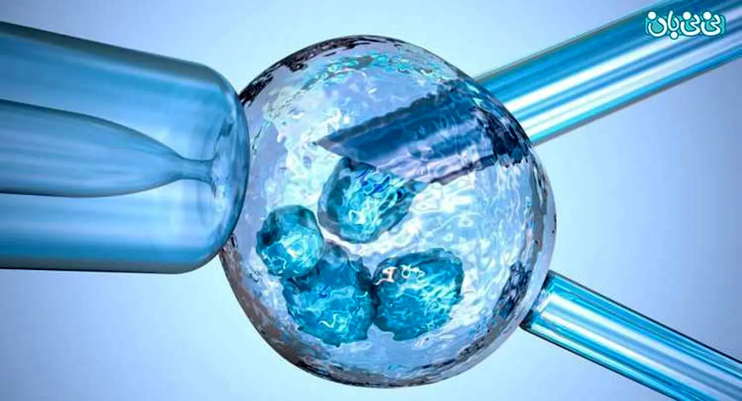 چگونه پسردار شویم، تضمینی