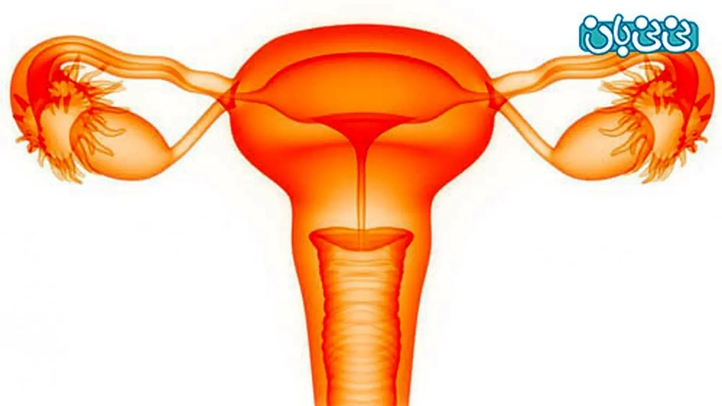 ضخامت آندومتر رحم، چند باید باشه؟