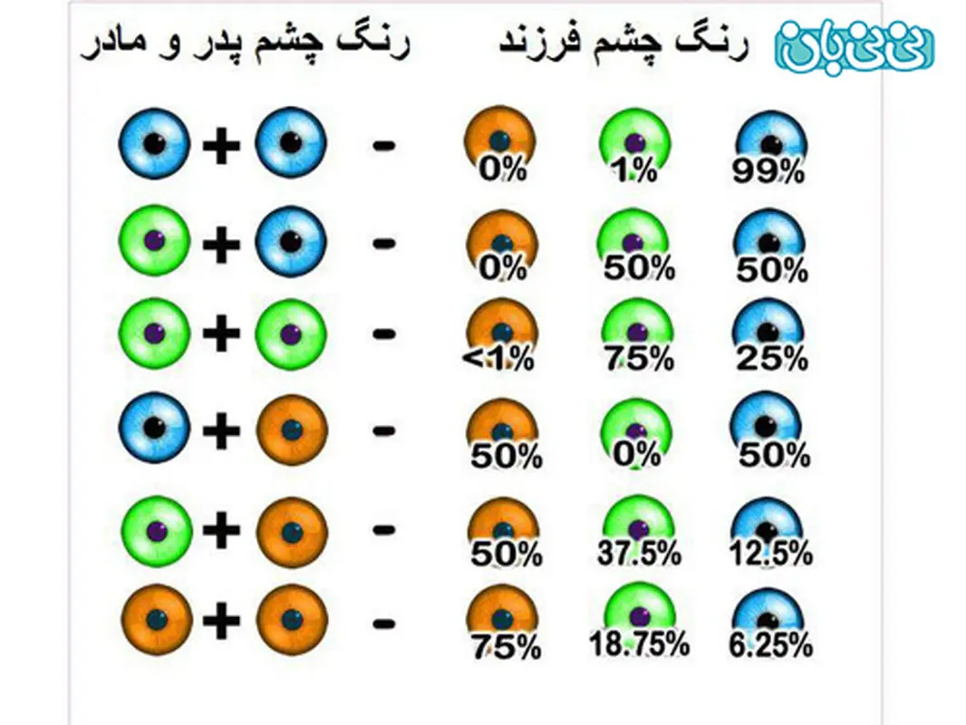 تعیین رنگ چشم جنین قبل از بارداری