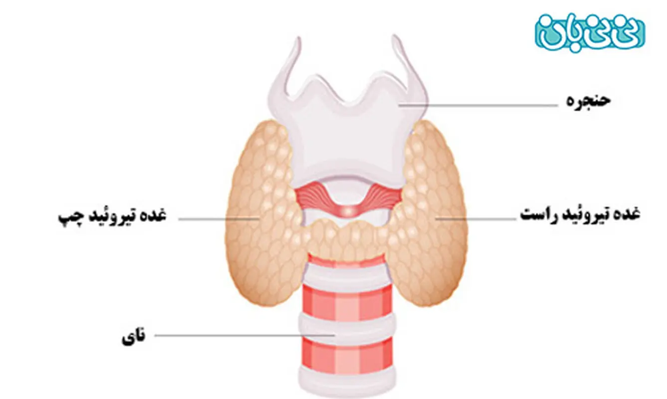 کم کاری تیروئید در نوزاد، علائم کدامند؟