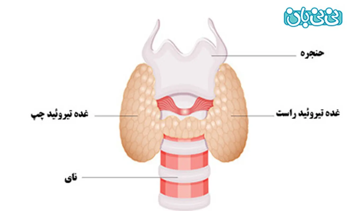 کم کاری تیروئید در نوزاد، علائم کدامند؟