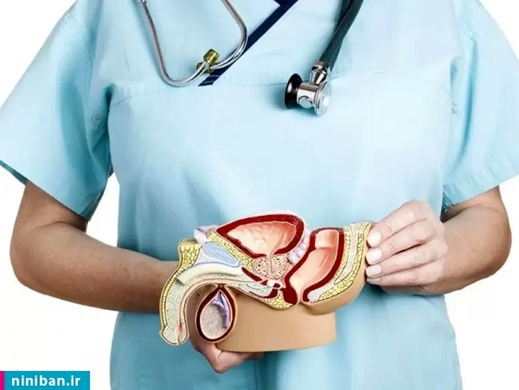 چه عواملی باعث ایجاد واریکوسل میشود؟