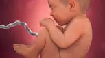وزن جنین در هفته سی و یکم بارداری