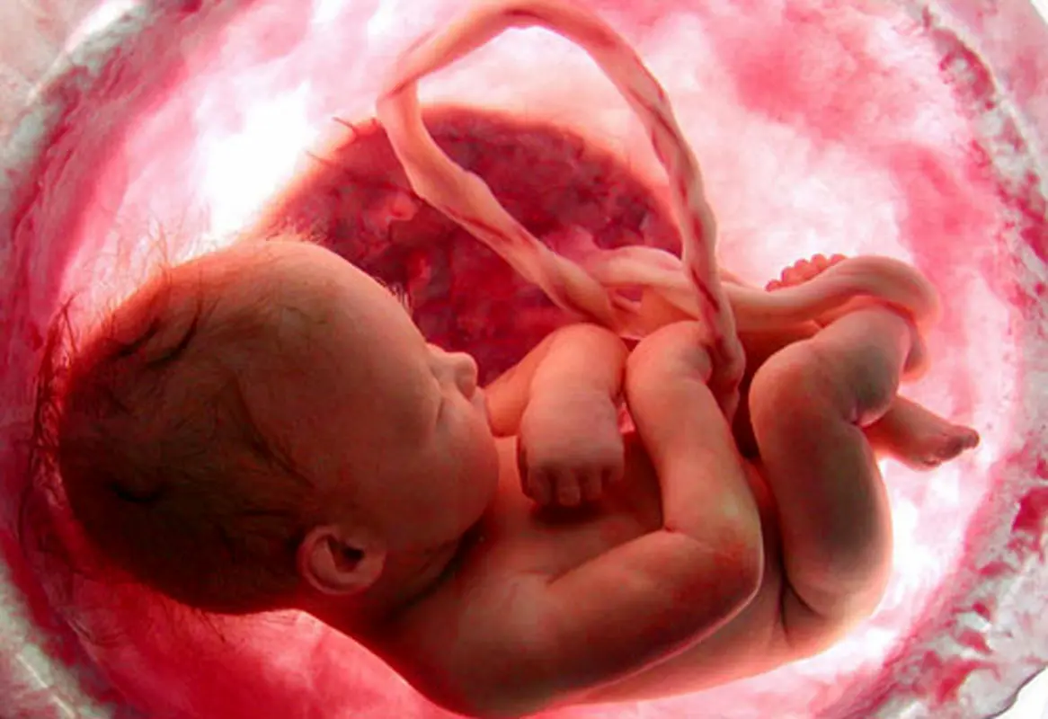 سلامت جنین در بارداری، قابل تشخیص است؟