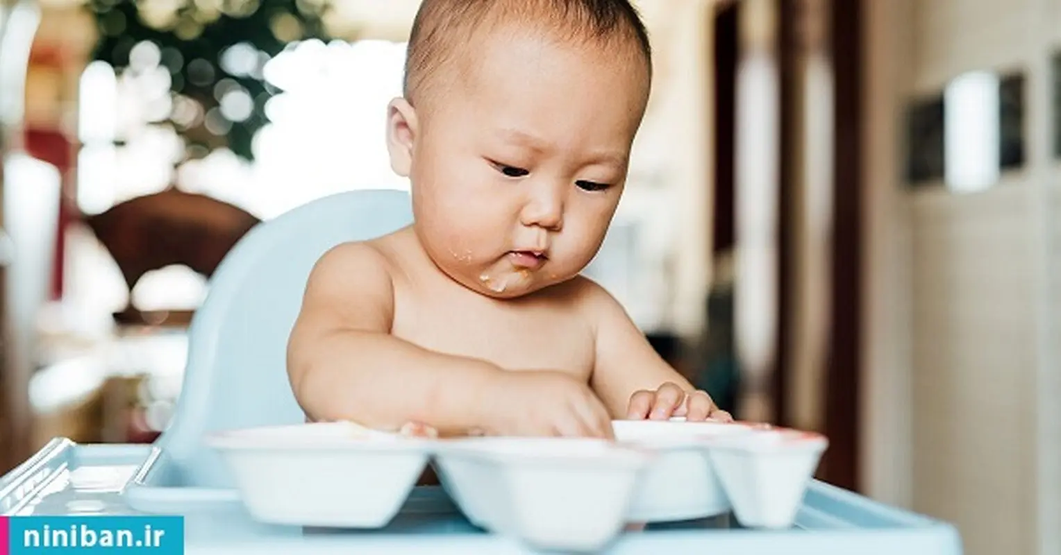 میوه برای نوزاد هشت ماهه