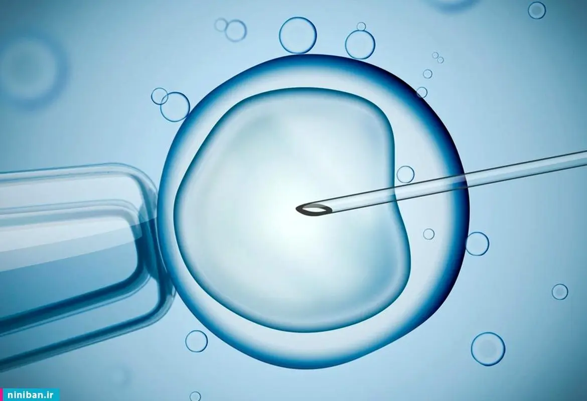 مرکز ناباروری نجمیه در کرمان، معرفی