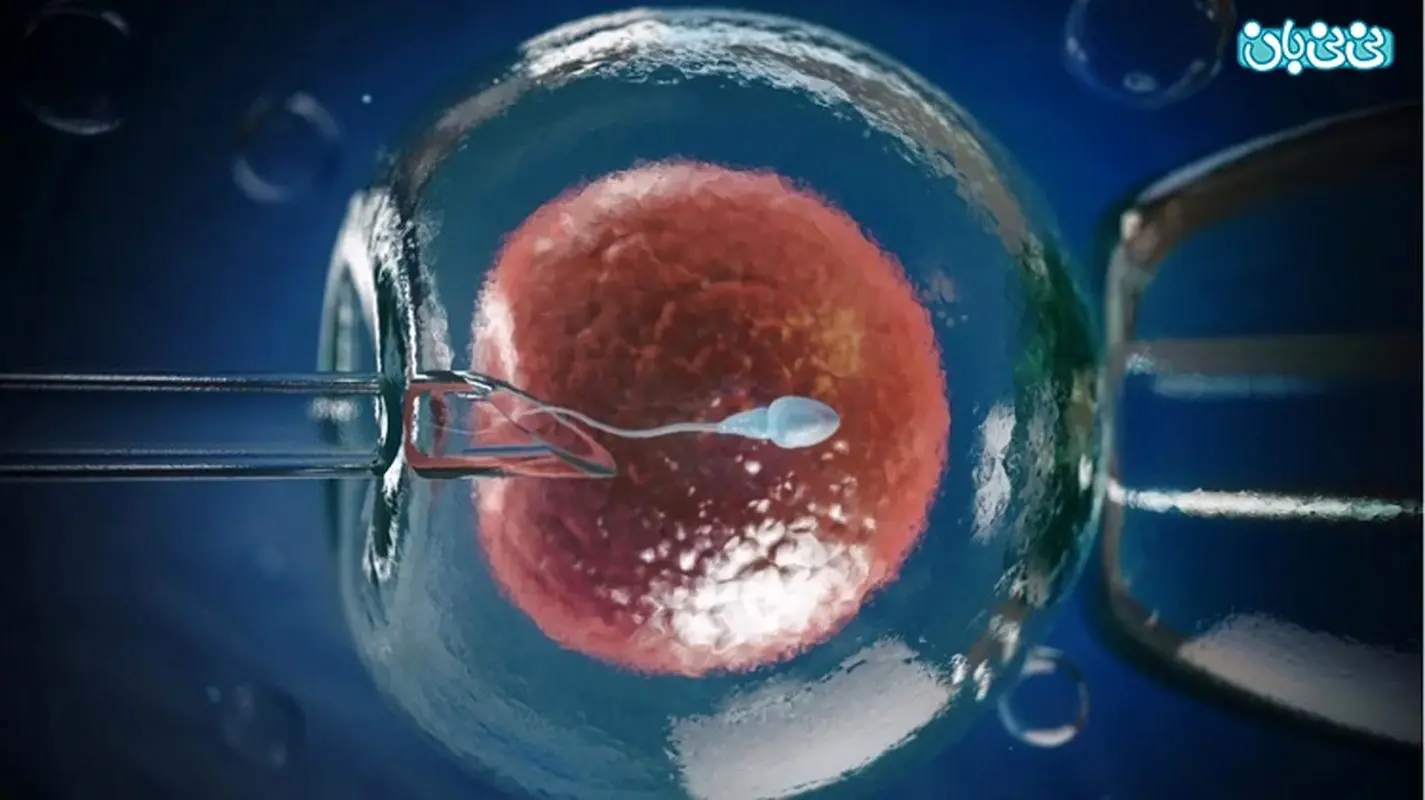 درمان ناباروری با سلول بنیادی، امید تازه زنان