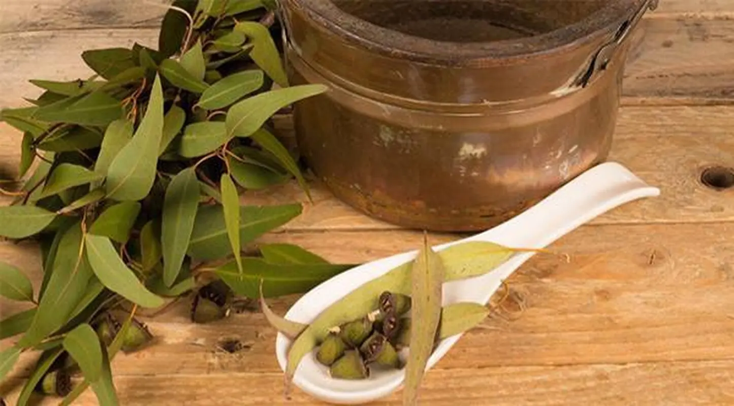 بهبود مشکلات تنفسی با این روغن 