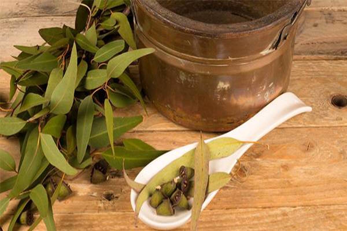 بهبود مشکلات تنفسی با این روغن 