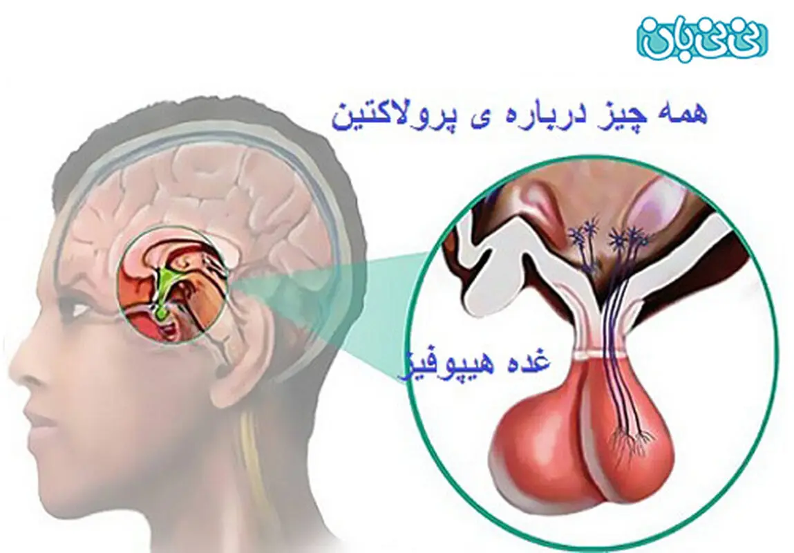 پرولاکتین بالا و احتمال بارداری، آزمایش لازم است؟