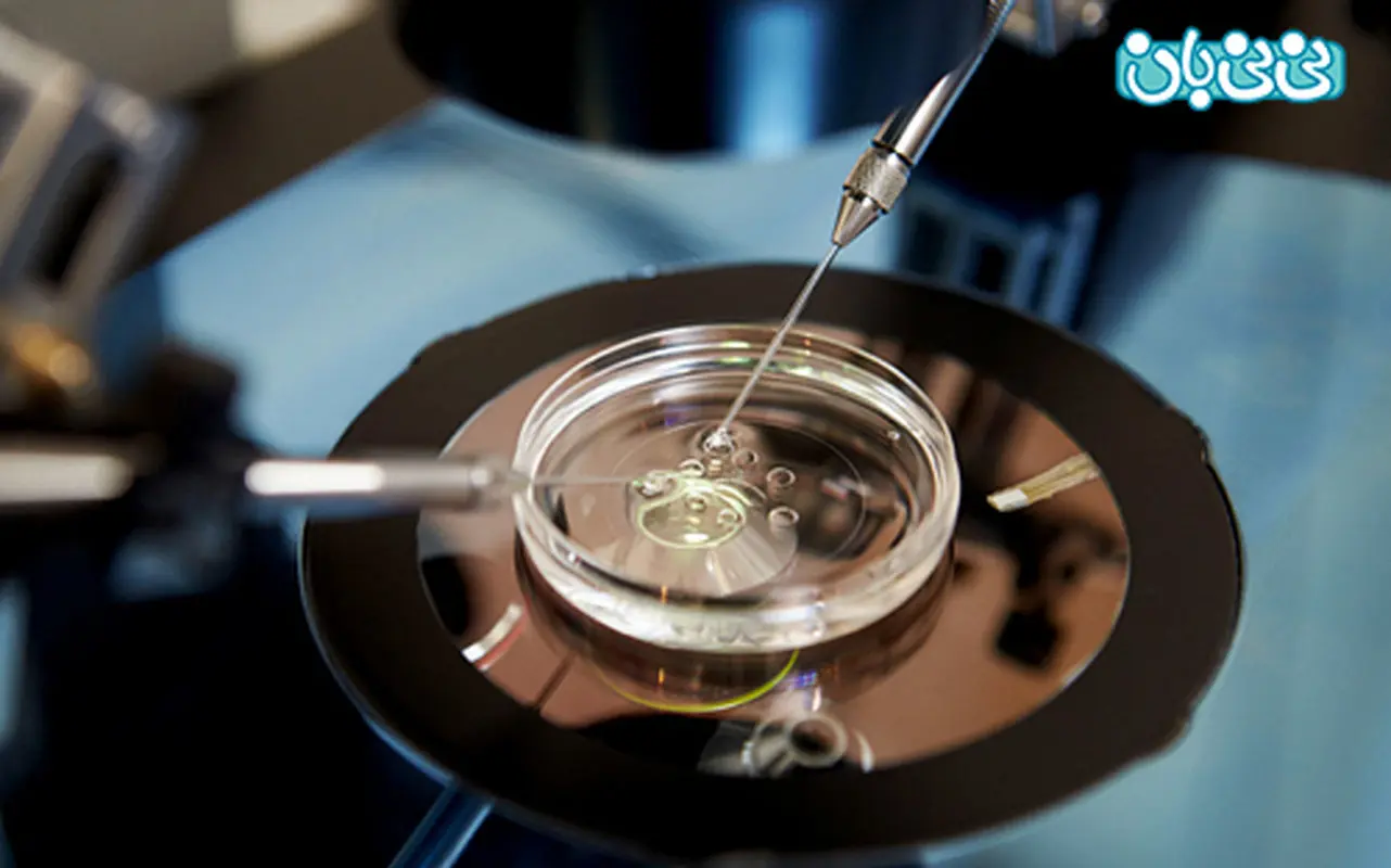 همه چیز در مورد ivf، آنچه باید بدانید