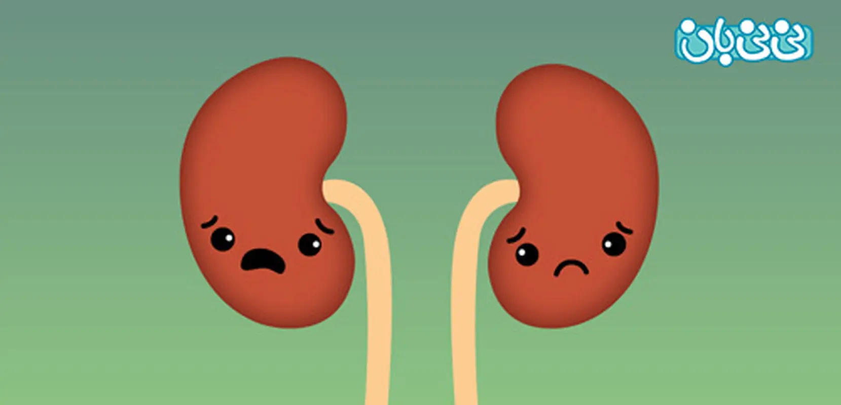 عفونت ادراری زنان، درمان خانگی