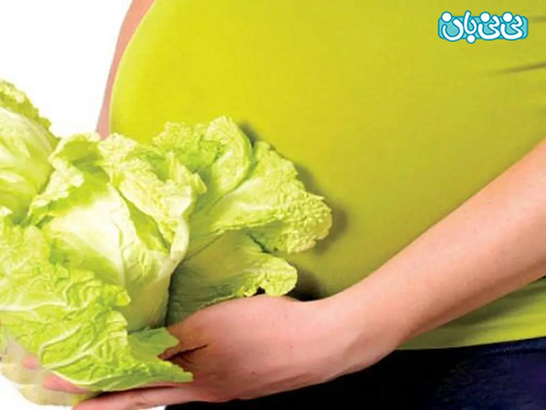 خواص کاهو در دوران بارداری، حتما بخوانید
