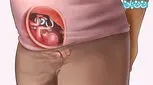 علائم هفته هفدهم بارداری