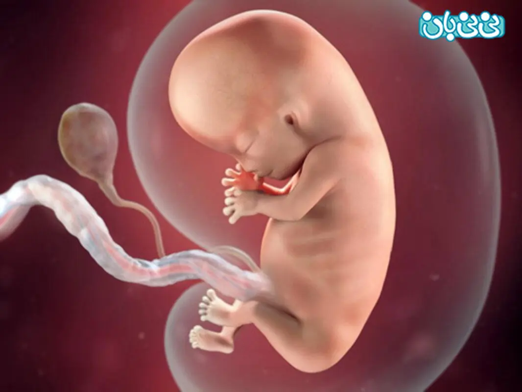 عوارض کم کاری تیروئید بر جنین