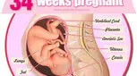 علائم هفته سی و چهارم بارداری