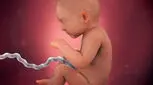 علائم هفته سی و سوم بارداری