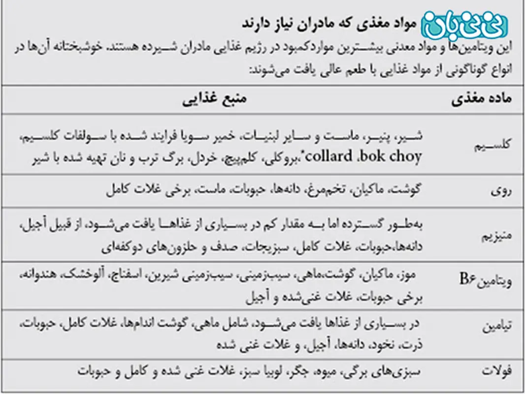 مکمل های دوران شیردهی، برنامه غذایی سالم