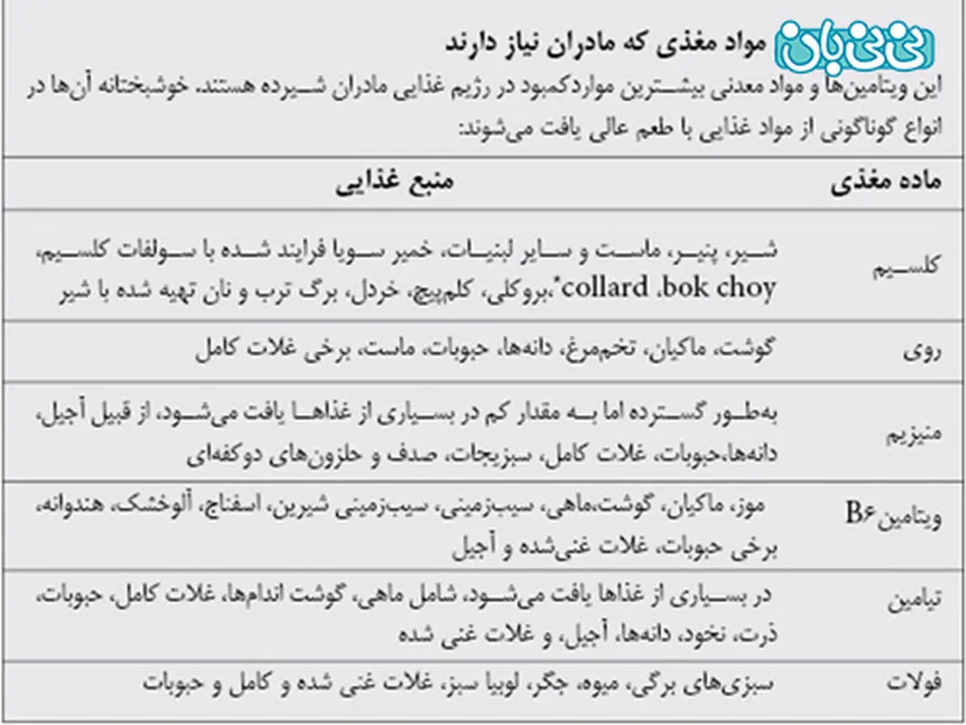 مکمل های دوران شیردهی، برنامه غذایی سالم