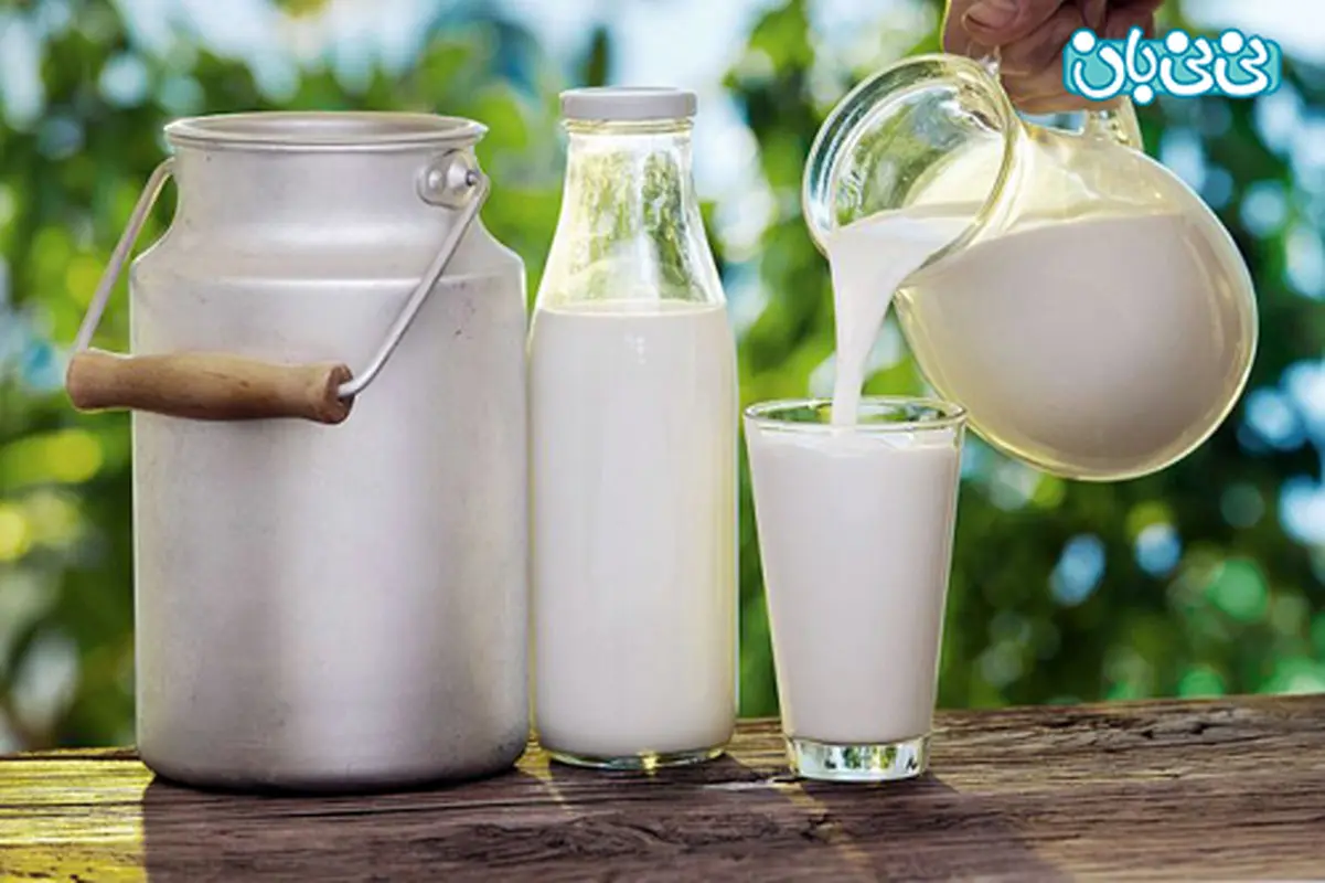 خوردن شیر محلی در بارداری، ضرر دارد؟