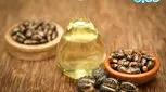 کاهش درد زایمان، روغن کرچک کارساز است؟