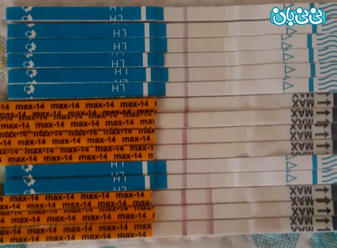 تشخیص روز تخمک گذاری، چگونه؟