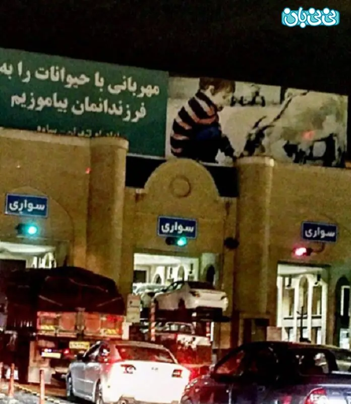 اینستاگرام مازیار فلاحی، کودکان و کارهای فرهنگی