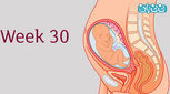 هفته سی ام بارداری، همه اطلاعات لازم