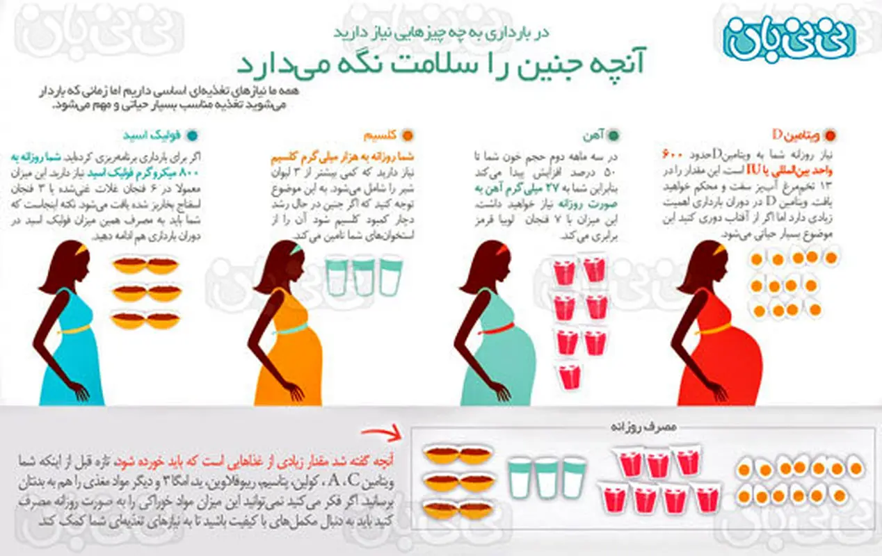 خوراکی های ضروری در دوران بارداری، اینفوگرافی