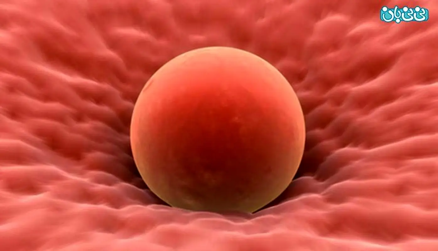 چگونه تخمک خود را قوی کنیم؟